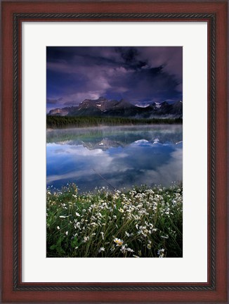 Framed Alberta, Banff National Park Lake Maligne wildflowers Print