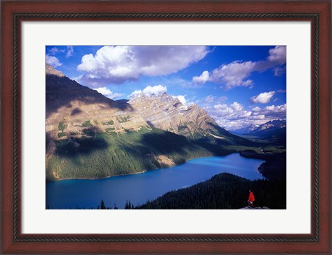 Framed Hiker Overlooking Peyto Lake, Banff National Park, Alberta, Canada Print