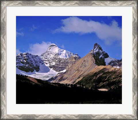 Framed Alberta, Mt Saskatchewan, Banff NP Print