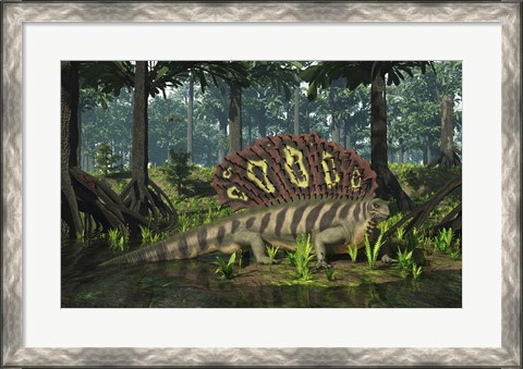 Framed Edaphosaurus forages in a brackish mangrove like swamp Print