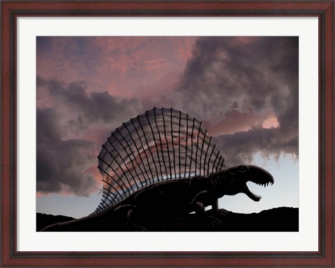 Framed Dimetrodon limbatus, a prehistoric animal Print