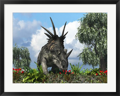 Framed Styracosaurus samples flowers of the order Ericales Print