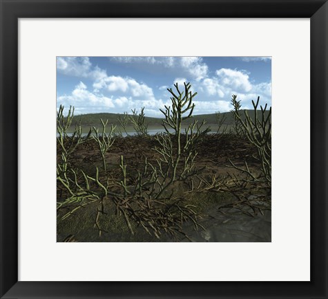 Framed Prehistoric landscape of Silu-Devonian land plants with branching axes Print