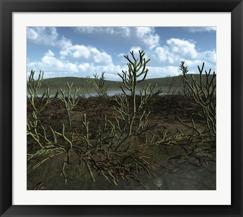 Framed Prehistoric landscape of Silu-Devonian land plants with branching axes Print