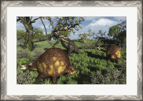 Framed Prehistoric glyptodonts graze on grassy plains An Eremotherium is in the background Print