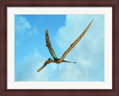 Framed Zhenyuanopterus, a genus of pterosaur from the Cretaceous Period Print