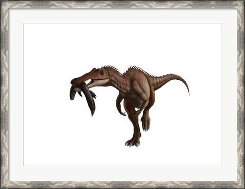 Framed Baryonyx dinosaur with a fish in mouth, white background Print