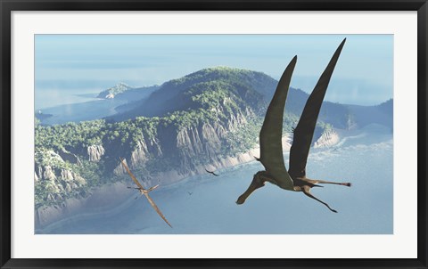 Framed Species from the genus Anhanguera soar 105 million years ago over what is today Brazil Print