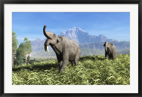 Framed Deinotherium traverse the rolling plains of what is today Europe Print