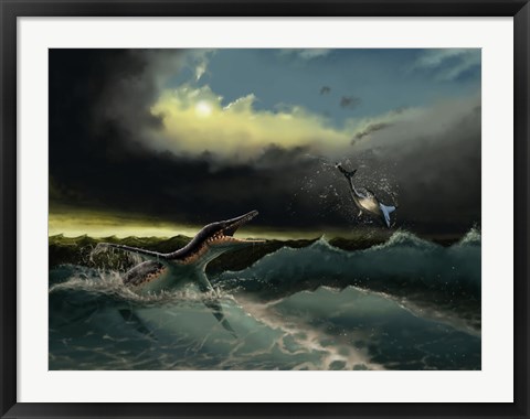 Framed Pliosaurus irgisensis attacking a shark Print