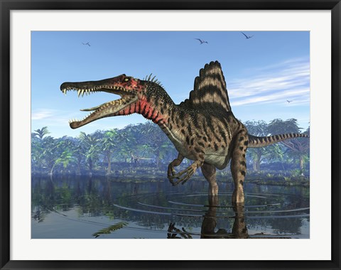Framed Spinosaurus searches for its next meal Print