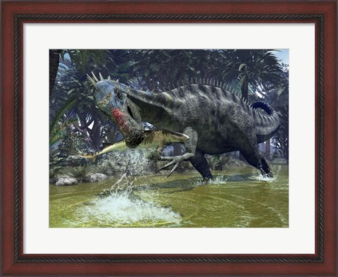 Framed Suchomimus snags a shark from a lush estuary Print