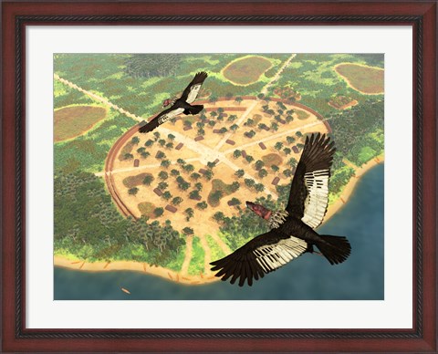 Framed pair of Andean Condors fly over an Amazonian village Print
