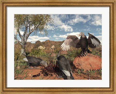 Framed Pleistocene Black Vultures feed on carrion Print
