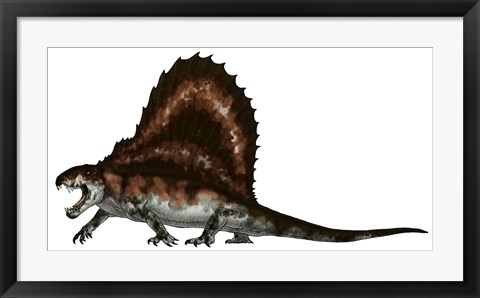 Framed Dimetrodon, a Synapsid that was an Apex Pradator Print