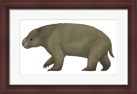 Framed Diprotodon, the Largest know Marsupial Print