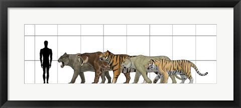 Framed Big Felines Size Chart Print