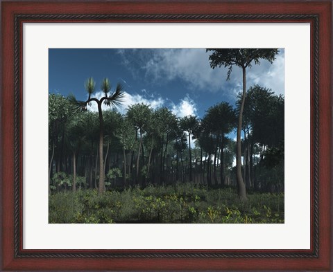 Framed Carboniferous Forest of Midwestern North America 350 million years ago Print