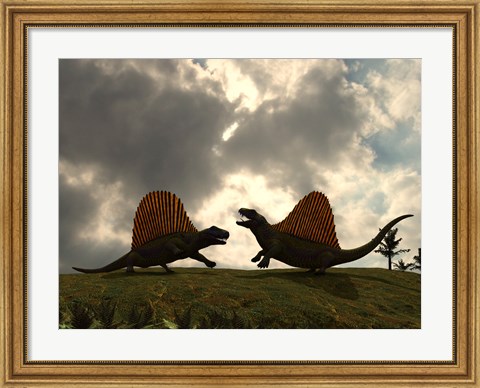 Framed Dimetrodon Fight Over Territory Print