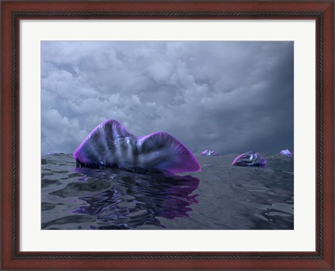 Framed Portuguese Man o&#39; War Swarm over the Surface of a Cambrian Ocean Print