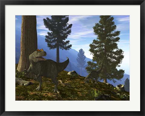 Framed Pair of Allosaurus Search for a Meal along a Mountainside Forest Print