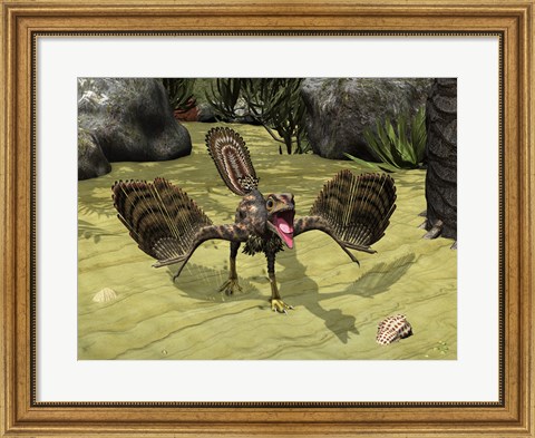 Framed Archaeopteryx Depicted near the Shore of the Tethys Sea Print