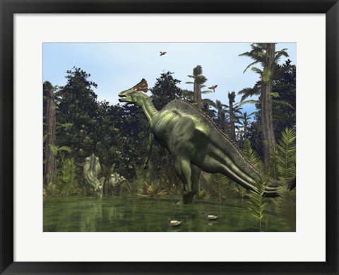 Framed Lambeosaurus Rears onto its Hind Legs in Response to a Threat Print
