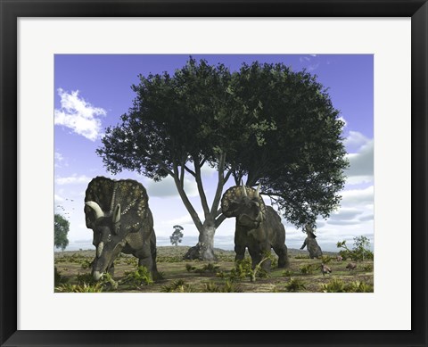 Framed Nedoceratops Graze Beneath a Giant Oak Tree Print
