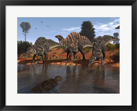 Framed Ouranosaurus Drink at a Watering Hole while a Sarcosuchus Floats nearby Print
