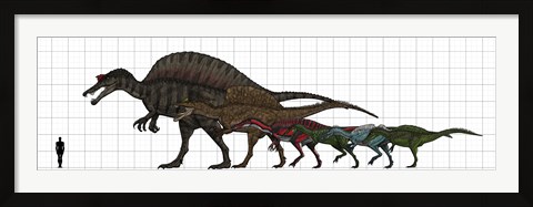 Framed Spinosauridae Size chart Print