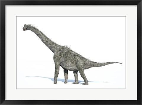 Framed 3D Rendering of a Brachiosaurus Dinosaur Print