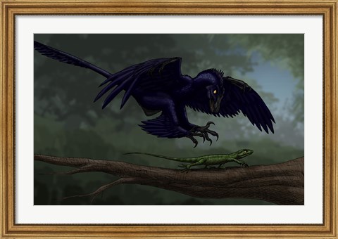 Framed Microraptor Hunting a Small Lizard on a Tree Branch Print