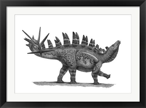Framed Pencil Drawing of Chungkingosaurus Jiangbeiensis Print