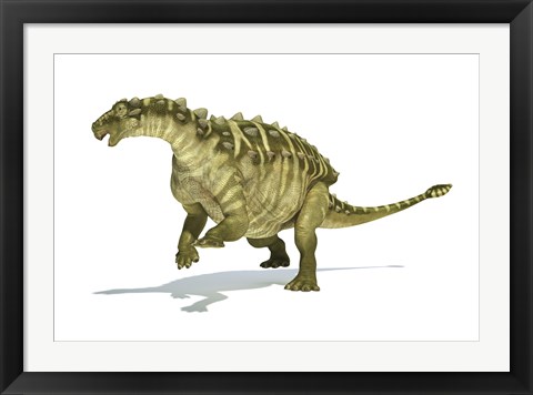 Framed Talarurus Dinosaur on White background Print