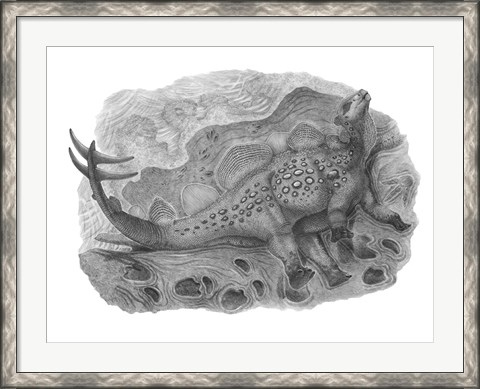 Framed Pencil Drawing of Hesperosaurus Mjosi Print