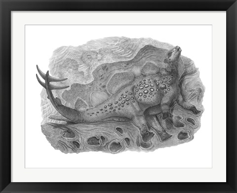 Framed Pencil Drawing of Hesperosaurus Mjosi Print