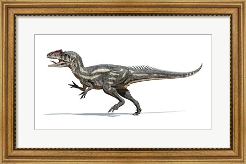 Framed Allosaurus Dinosaur on White Background Print