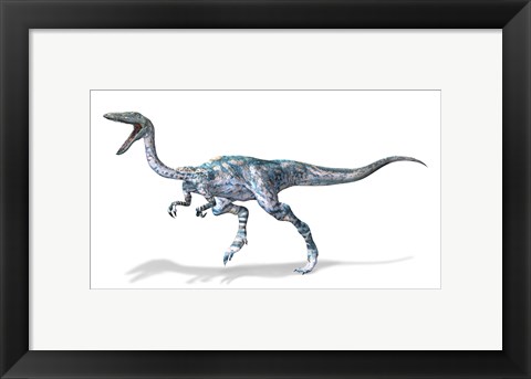 Framed 3D Rendering of a Coelophysis Rinosaur Print