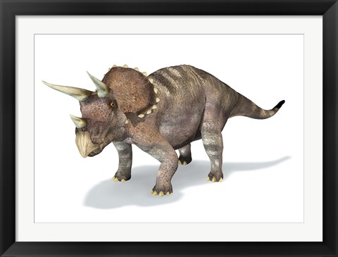 Framed 3D Rendering of a Triceratops Dinosaur Print