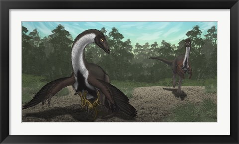 Framed Ornithomimus Mother Dinosaur with Juveniles, Adult Male in Background Print