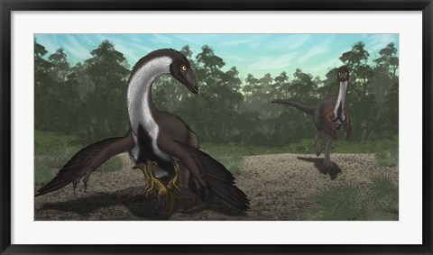 Framed Ornithomimus Mother Dinosaur with Juveniles, Adult Male in Background Print