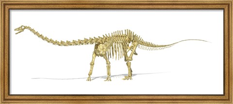 Framed 3D Rendering of a Diplodocus Dinosaur Skeleton Print