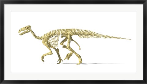 Framed 3D Rendering of an Lguanodon Dinosaur Skeleton Print