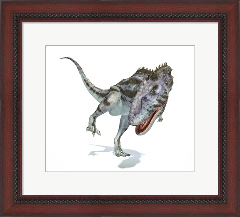 Framed Majungasaurus Dinosaur on White Background Print