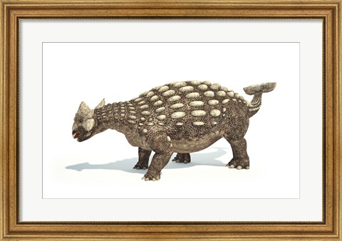 Framed Ankylosaurus Dinosaur on White Background Print
