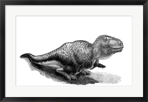 Framed Black Ink Drawing of Tarbosaurus Bataar Print