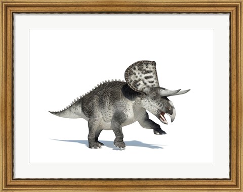 Framed 3D Rendering of a Zuniceratops Dinosaur Print