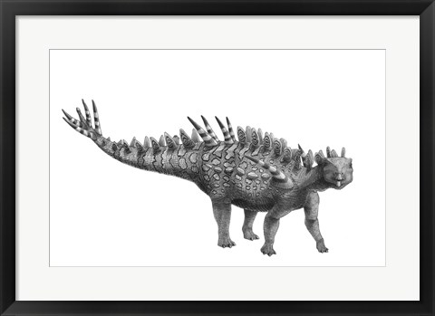 Framed Pencil Drawing of Huayangosaurus Taibaii Print
