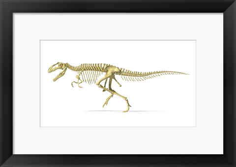 Framed 3D Rendering of a Giganotosaurus Dinosaur Skeleton Print