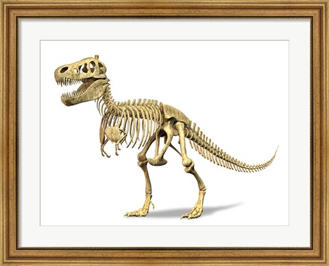 Framed 3D Rendering of a Tyrannosaurus Rex Dinosaur Skeleton Print